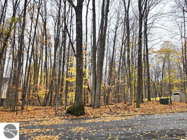 Land for sale in Michigan