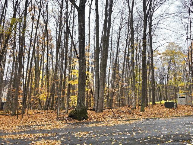 Land for sale in Michigan