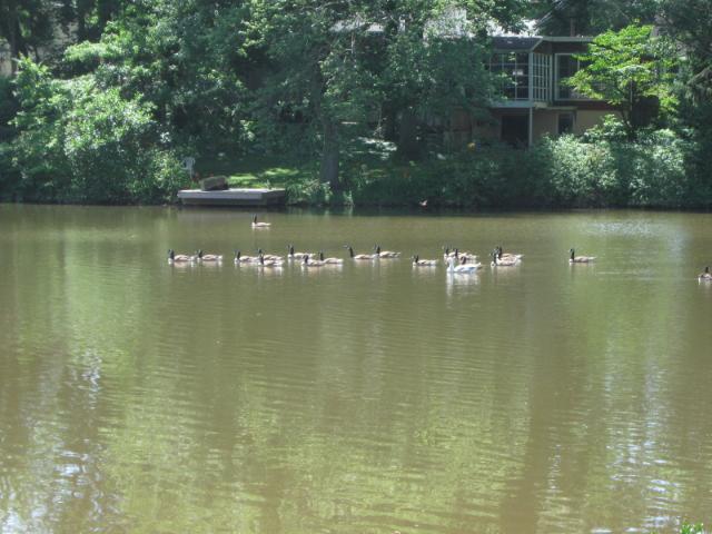 Property for rent in Piscataway, New Jersey