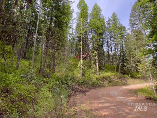 Land for sale in Cascade, Valley County