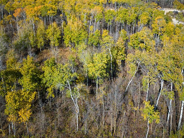 Land for sale in Grey, Ontario