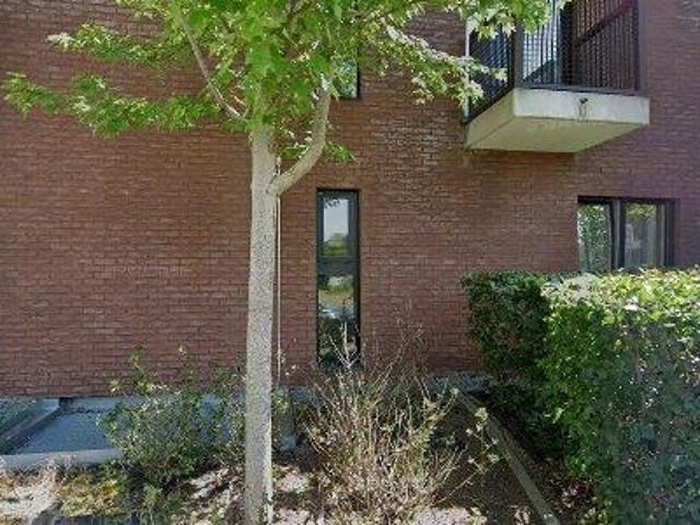 Appartement location à Aat, Wallonie