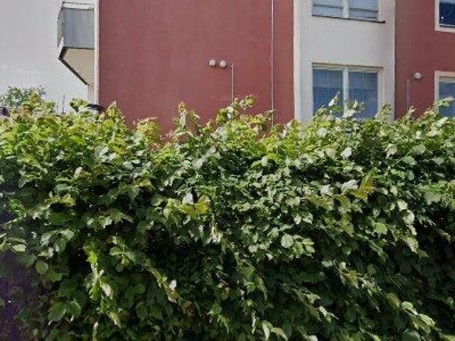 Lägenhet hyra i Falköpings distrikt, Falköping