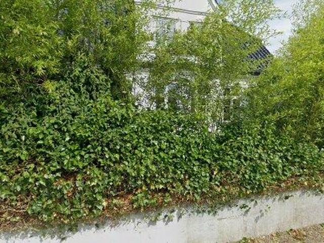 Erhvervsejendom til leje i Haderslev