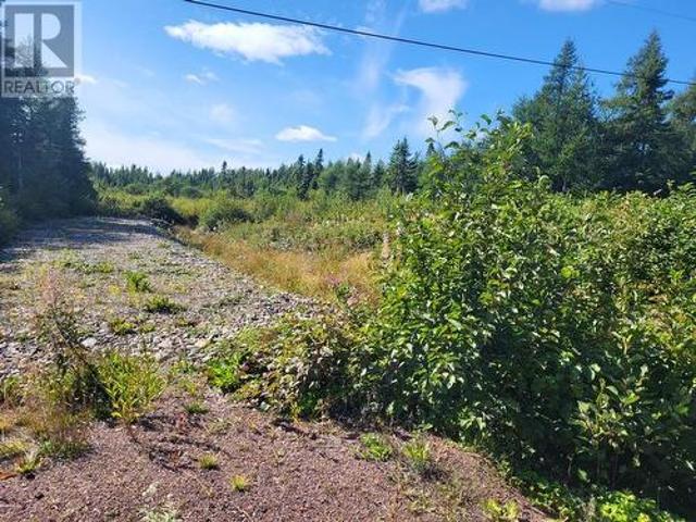 Land for sale in Peterview, Newfoundland And Labrador