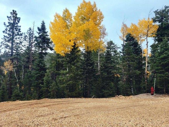 Land for sale in Duck Creek Village, Utah