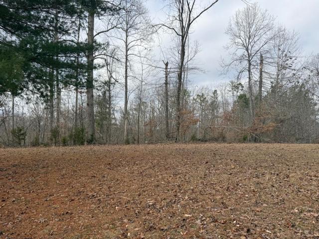 Land for sale in Jamestown, Kentucky