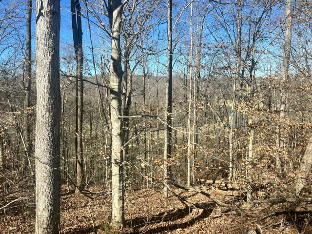 Land for sale in Kentucky
