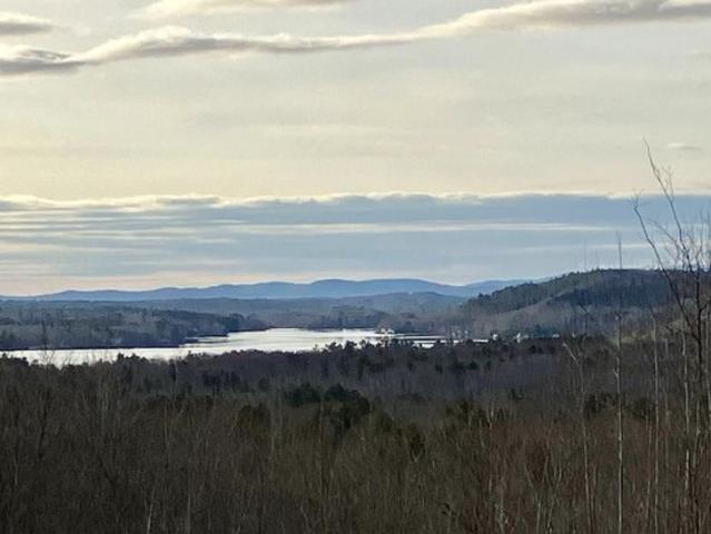 Land for sale in Waldo, Maine