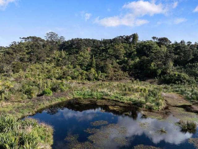 Property for sale in Kawau Island