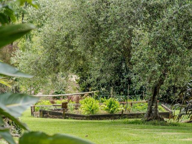 House for sale in Kerikeri, Bay of Islands