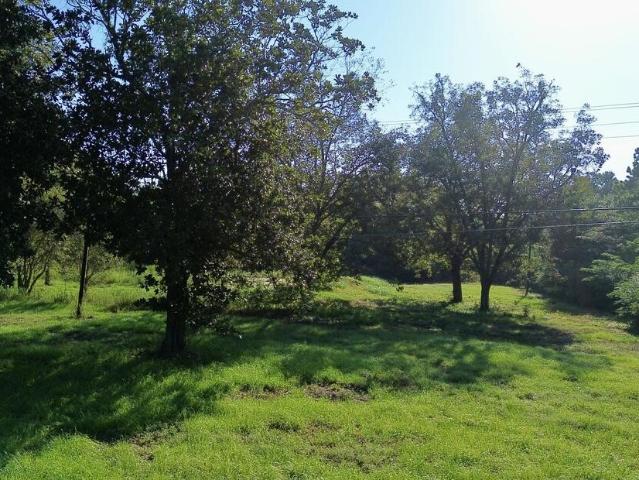 Land for sale in Jasper, Jasper County