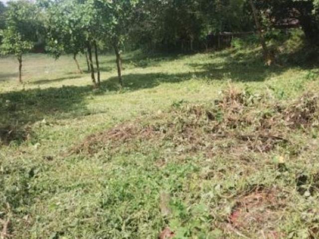 Land for sale in Chamba, Himachal Pradesh