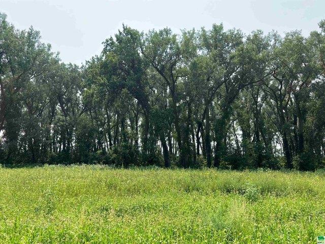 Land for sale in Vermillion, South Dakota