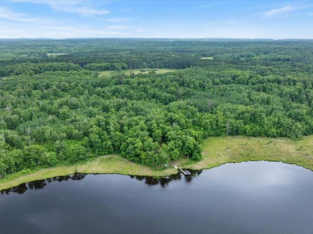Commercial for sale in Hackensack, Minnesota