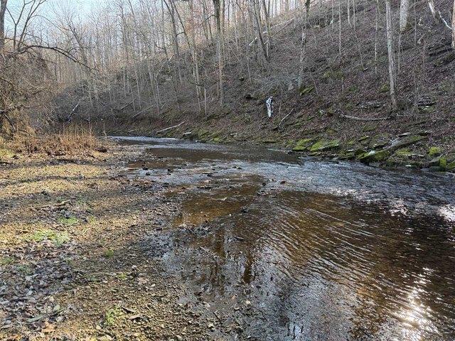 Farm for sale in Campbellsville, Kentucky