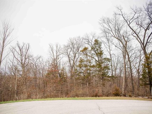 Land for sale in Adams, Illinois