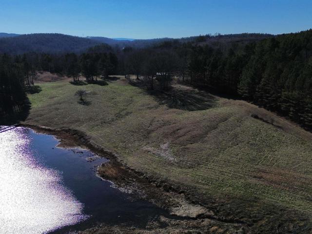 Land for sale in Ashland, Alabama