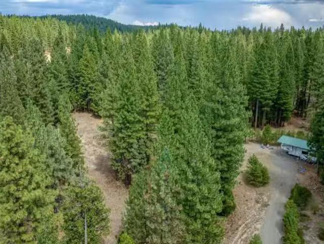 House for rent in Truckee, California