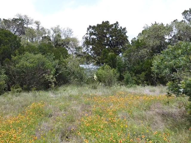 Land for sale in Medina, Texas