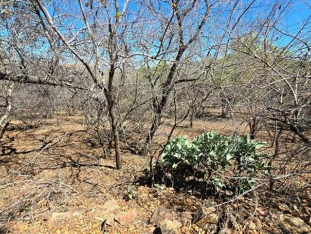 Land for sale in 57 Waterberg, Lephalale Local Municipality