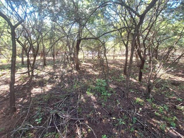 Land for sale in Limpopo