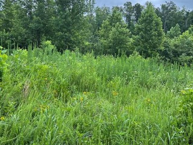 Land for sale in Virginia