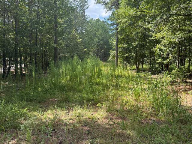 Land for sale in Jenkinsburg, Georgia