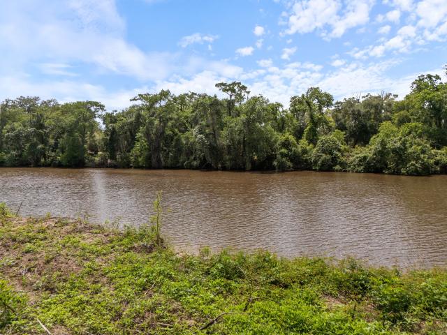 Land for sale in Brazoria, Texas