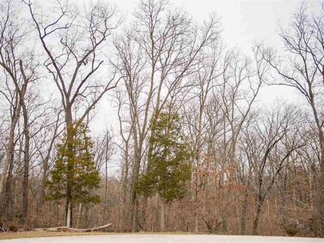 Land for sale in Adams, Illinois