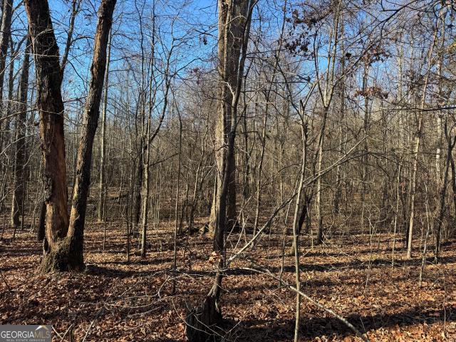 Land for sale in Bogart, Oconee County