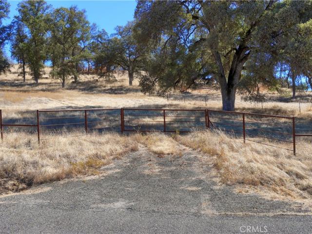 Land for sale in Bridgeport, Mariposa