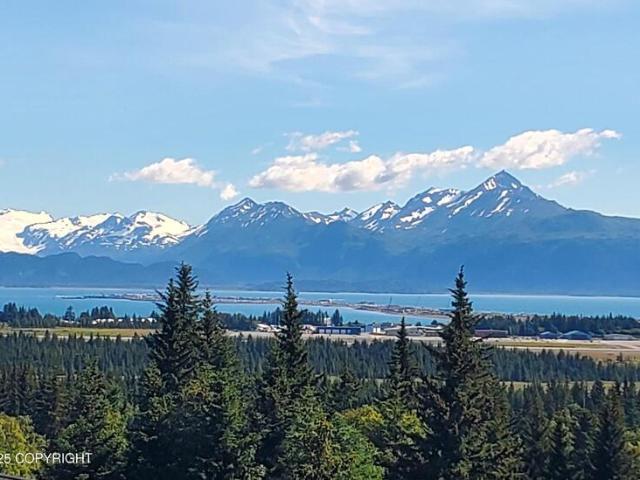 Land for sale in Homer