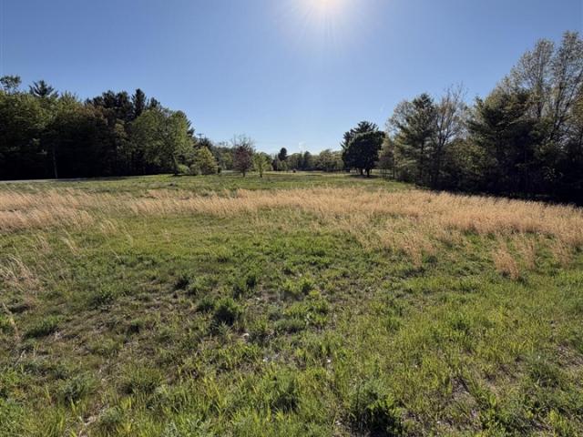 Land for sale in Michigan