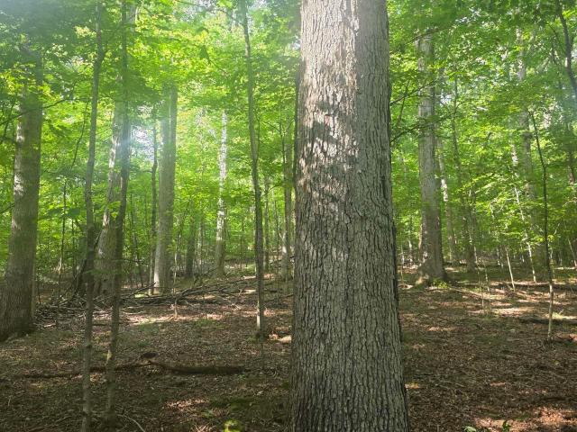 Land for sale in Pleasant Valley, Shoals
