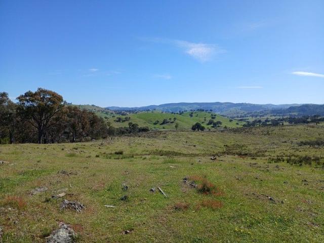 Property for sale in New South Wales