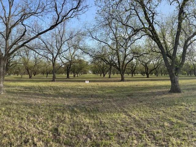 Land for sale in Gorman, Texas