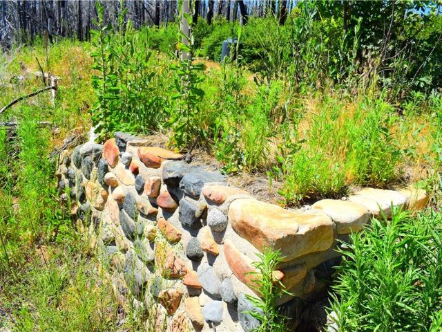 Land for sale in Butte, California