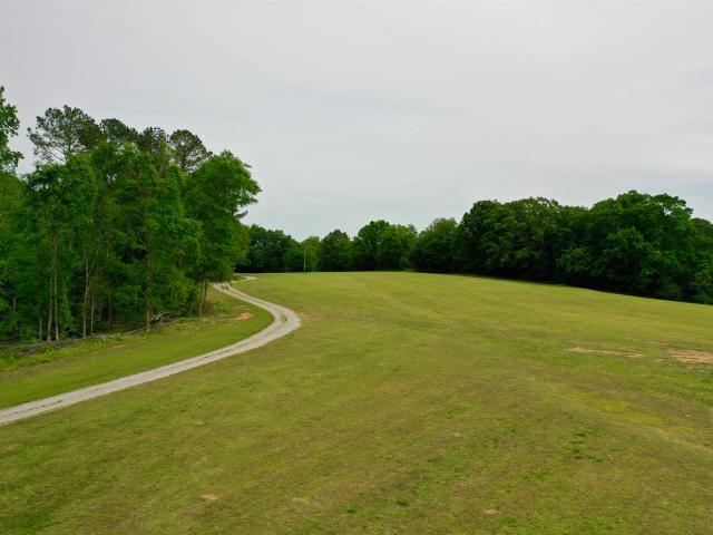 Land for sale in Florence, Alabama