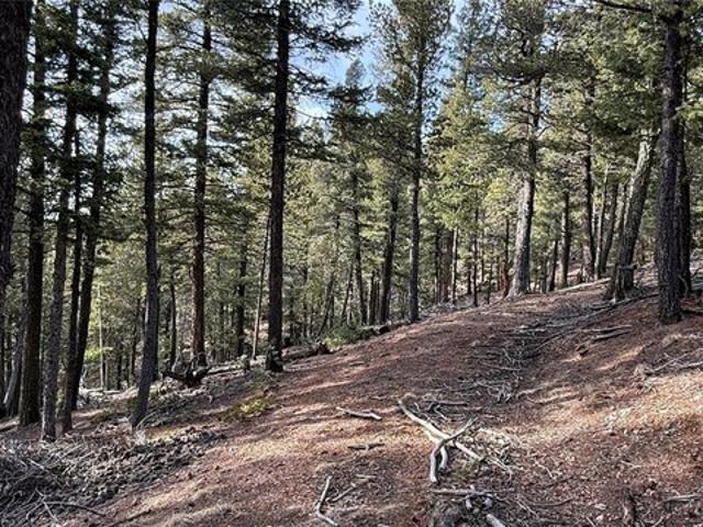 Land for sale in Divide, Teller County