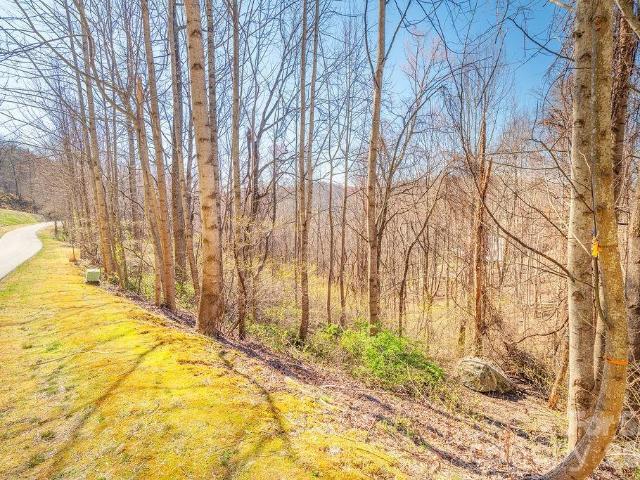 Land for sale in Etowah, North Carolina