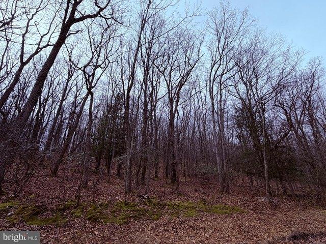 Land for sale in Zion Grove, Pennsylvania