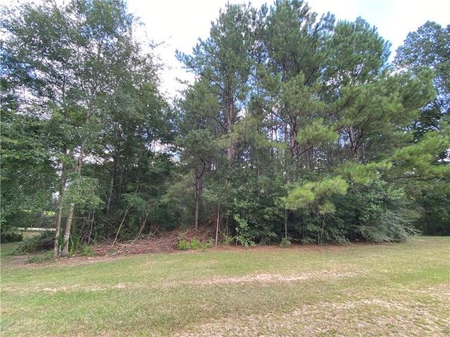 Land for sale in Saint Helena, Louisiana