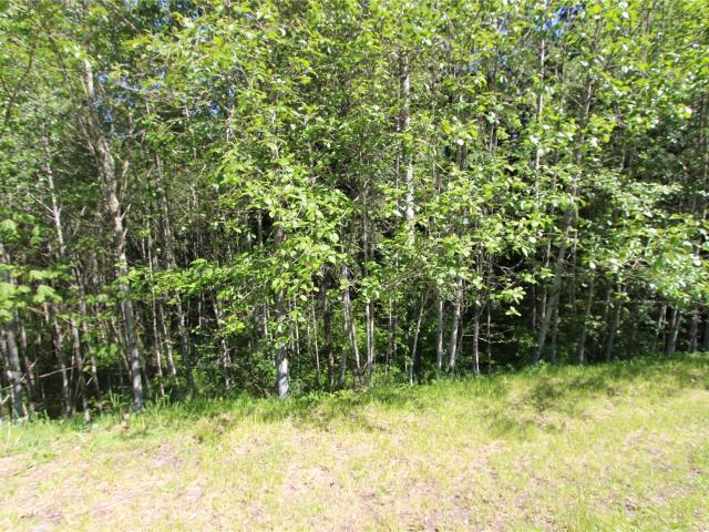 Land for sale in Mount Vernon, Skagit County