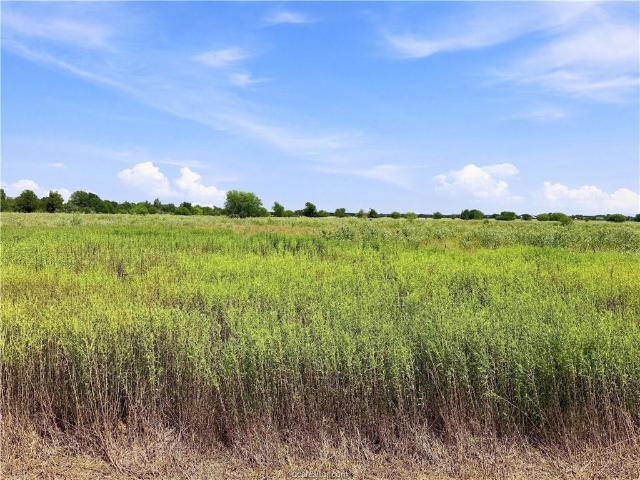 Land for sale in Bryan, Texas