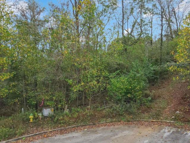 Land for sale in Huntsville, Alabama