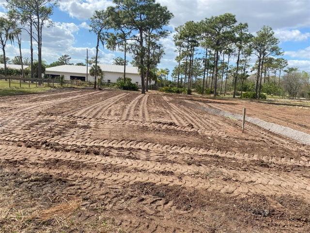 Land for sale in Myakka City, Florida