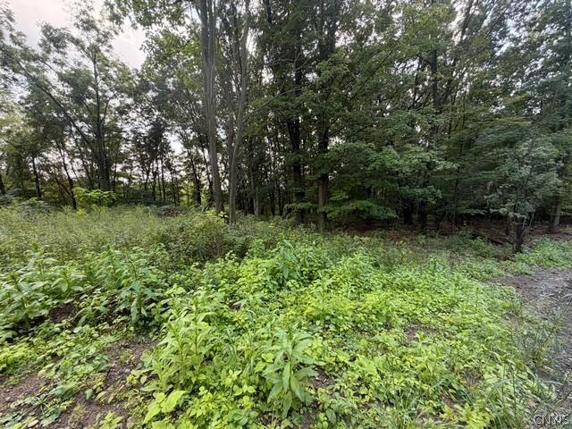 Land for sale in Alpine, New York