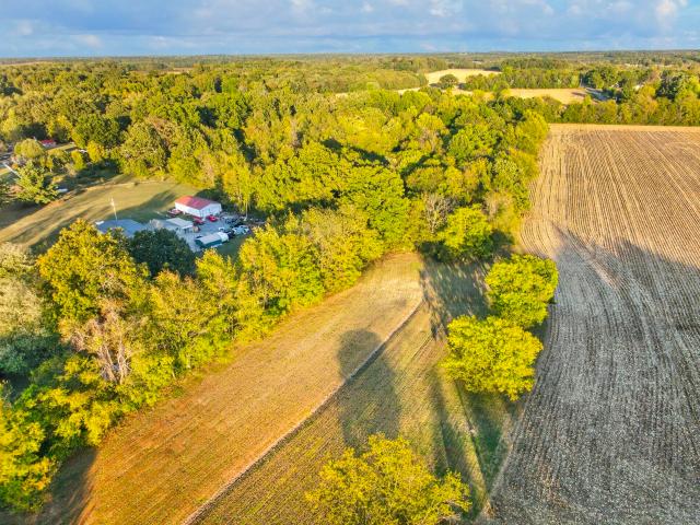 Land for sale in Mulloy, Cross Plains