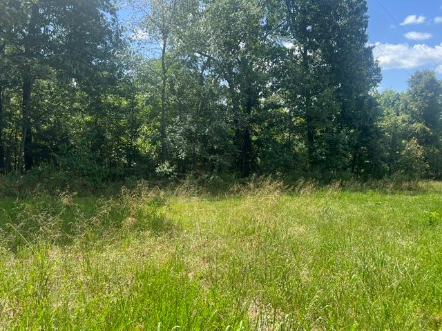 Land for sale in Flippin, Marion County